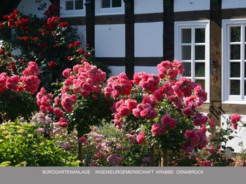 igk Krabbe - FirmenGärten 2009