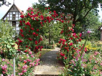 igk Krabbe - FirmenGärten 2014